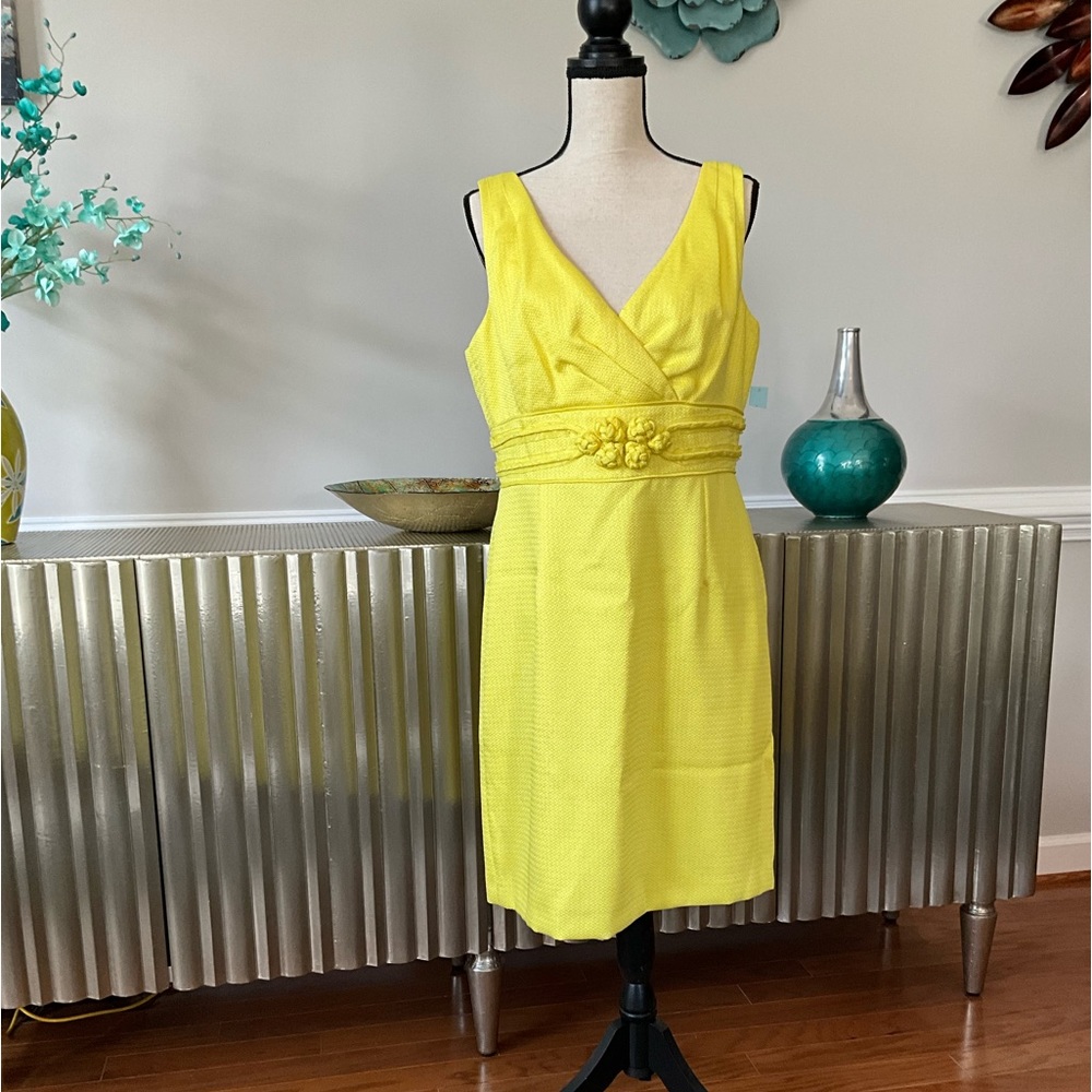 NEVER WORN Beautiful Antonio Melani Dress